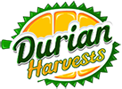 Durian Harvests  Logo